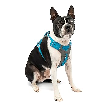 いぬ JK9 Street harness (ストリートハーネス) 小型犬用 | ハーネス